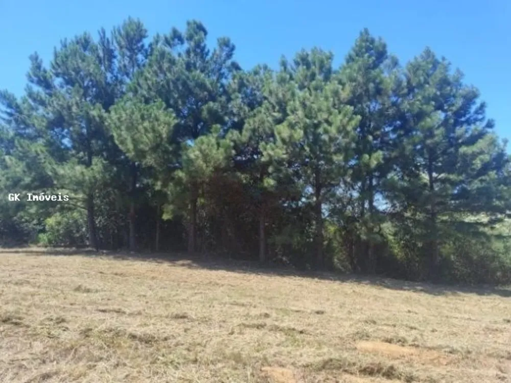 Terreno, 1943 m² - Foto 2
