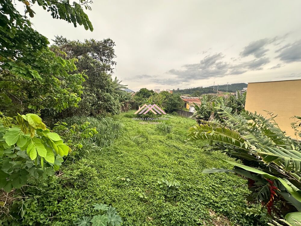 Terreno, 1300 m² - Foto 3
