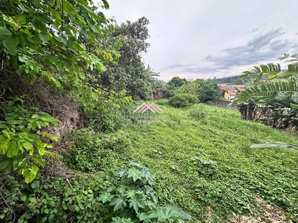 Terreno, 1300 m² - Foto 2