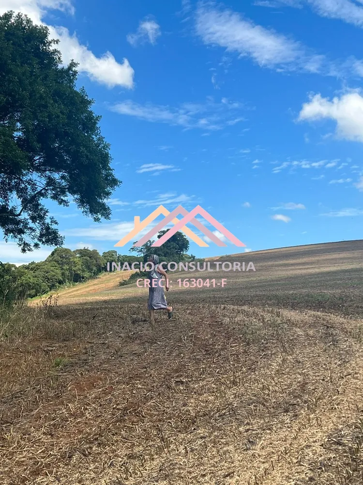 Terreno, 37 hectares - Foto 12