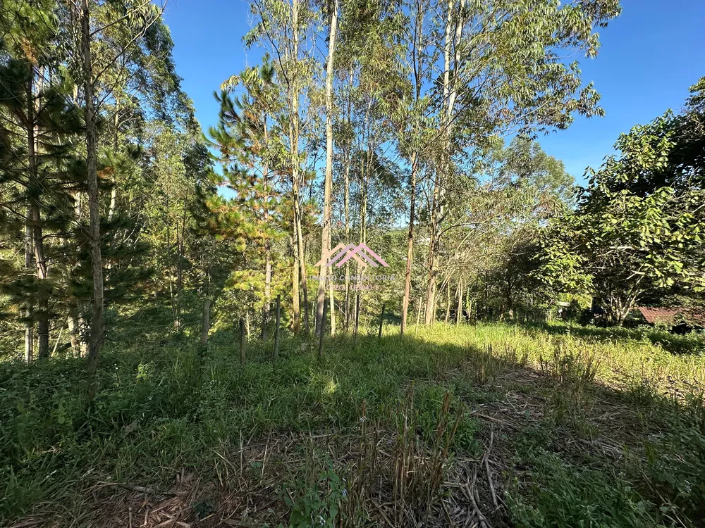 Sítio, 7 quartos, 4 hectares - Foto 13