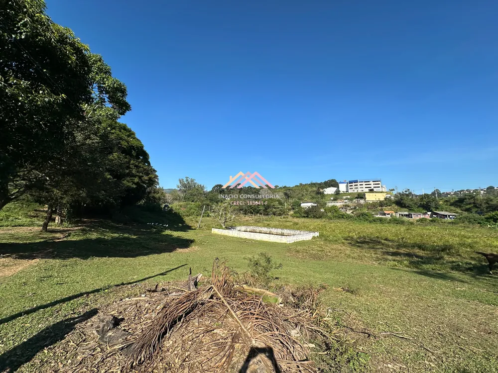 Sítio, 7 quartos, 4 hectares - Foto 12