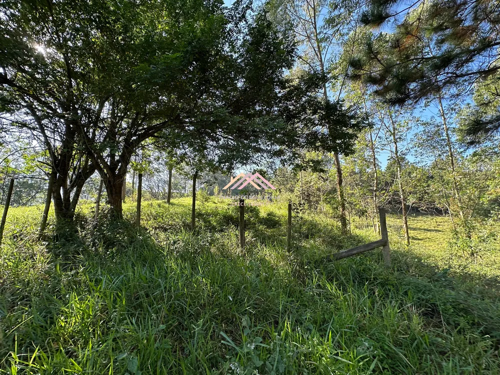 Sítio, 7 quartos, 4 hectares - Foto 15
