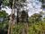 Fazenda, 3 hectares - Foto 4