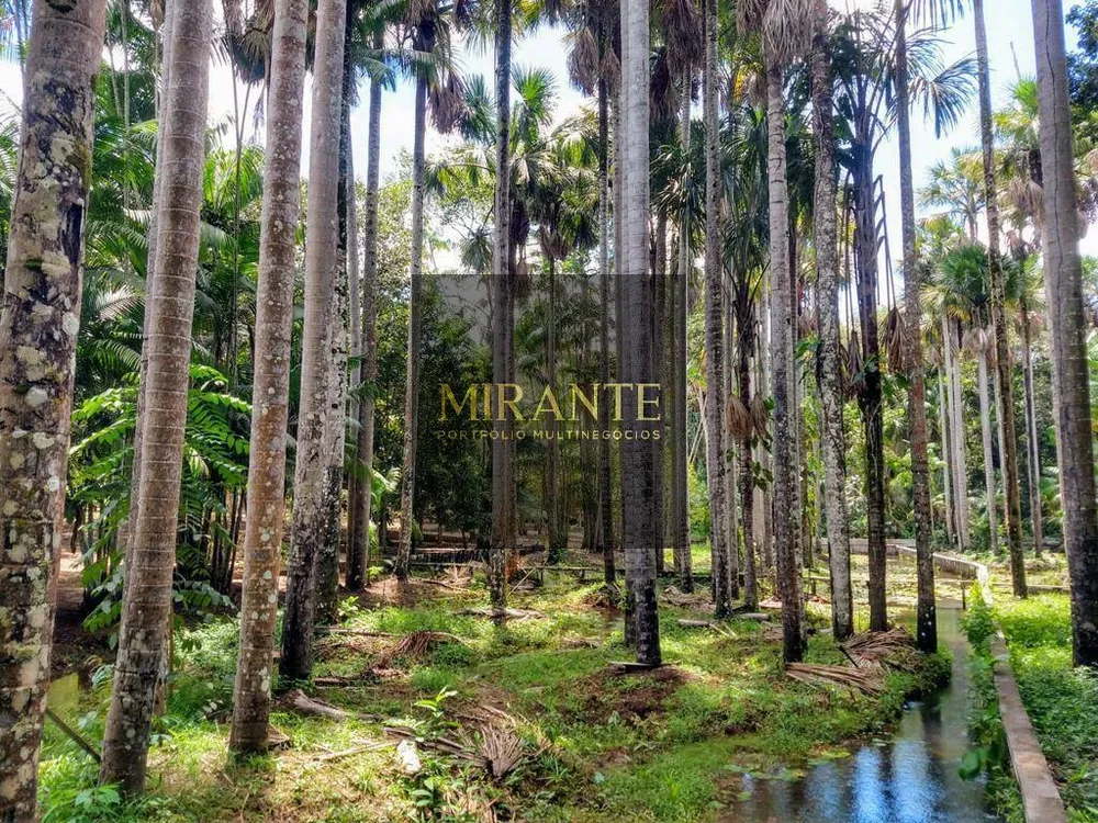 Sítio, 3 quartos, 3 hectares - Foto 9