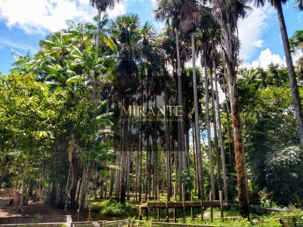 Sítio, 3 quartos, 3 hectares - Foto 4