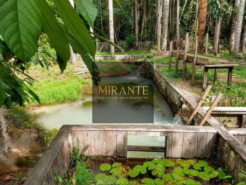 Sítio, 3 quartos, 3 hectares - Foto 8