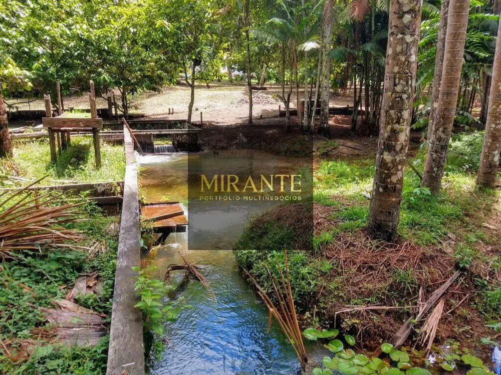 Sítio, 3 quartos, 3 hectares - Foto 2