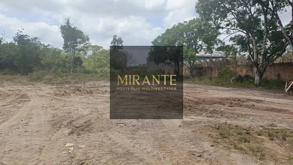Terreno, 2 hectares - Foto 14