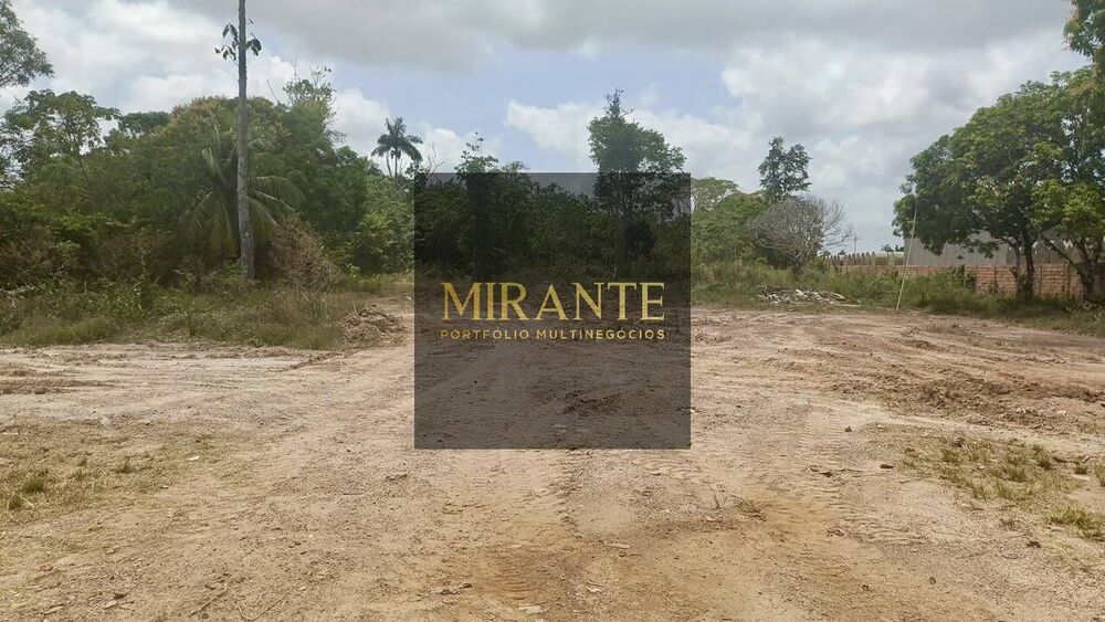 Terreno, 2 hectares - Foto 4