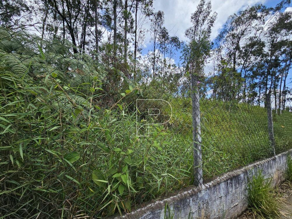 Terreno, 3800 m² - Foto 4