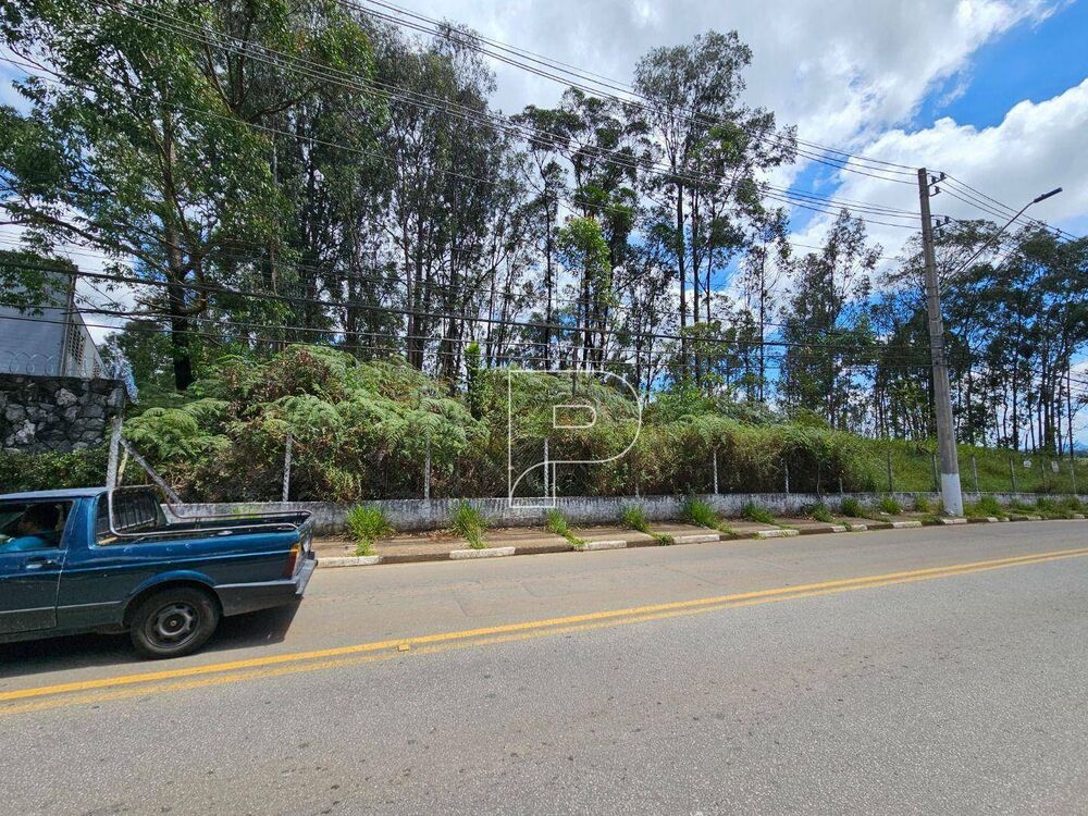Terreno, 3800 m² - Foto 3