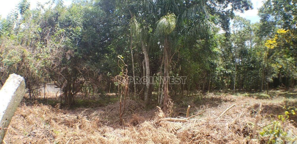 Loteamento e Condomínio, 1000 m² - Foto 3