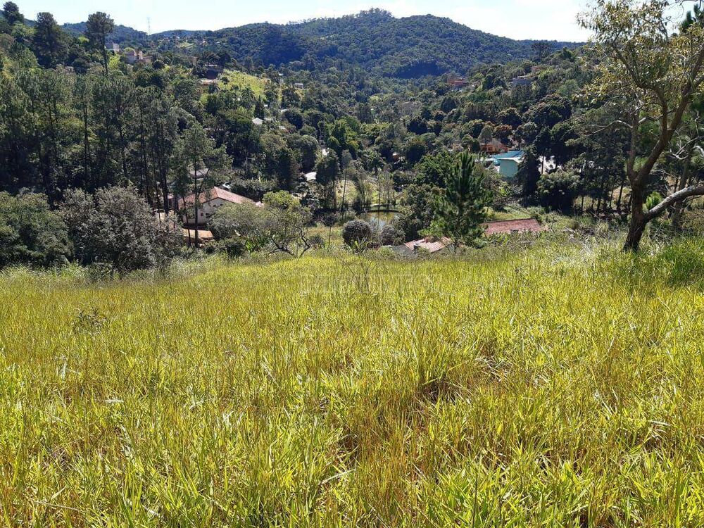 Terreno, 6 hectares - Foto 1