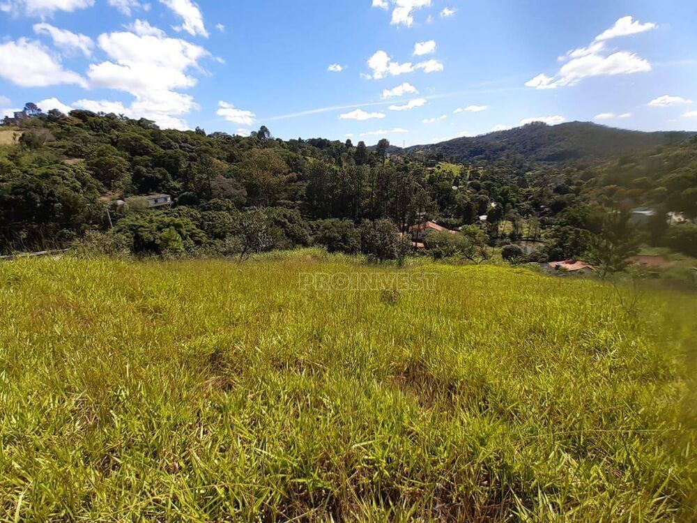 Terreno, 6 hectares - Foto 3