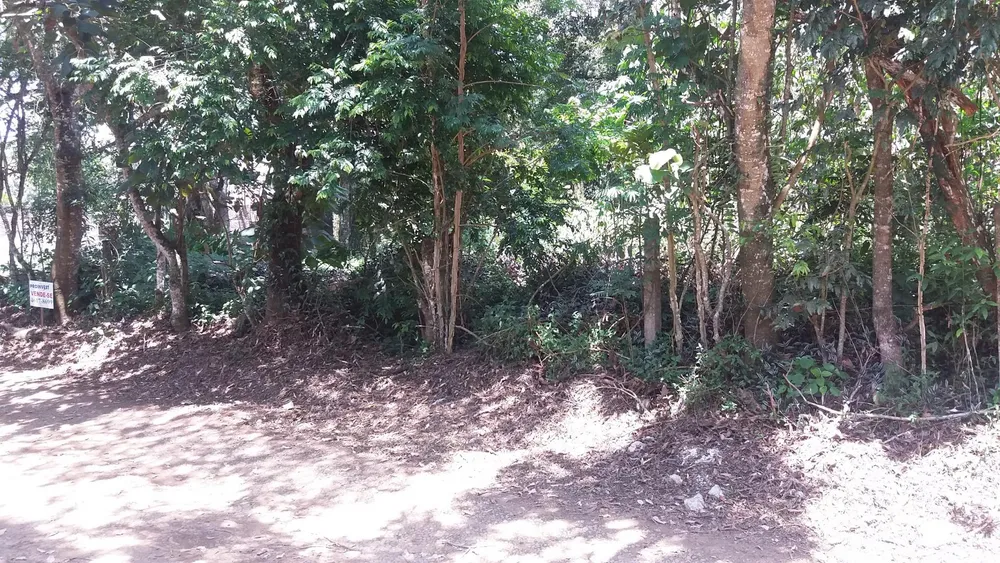 Loteamento e Condomínio, 1000 m² - Foto 3
