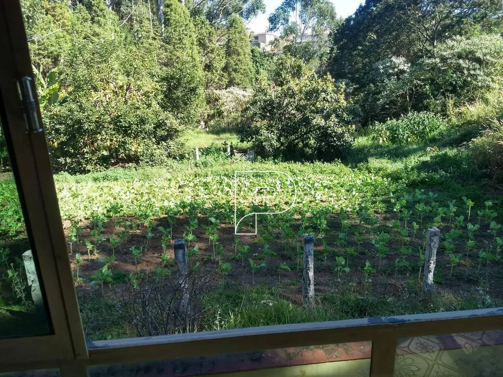 Chácara, 2 quartos, 4 hectares - Foto 8