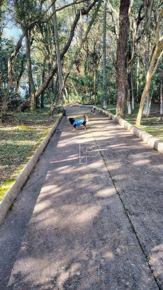 Chácara, 7 quartos, 6 hectares - Foto 10