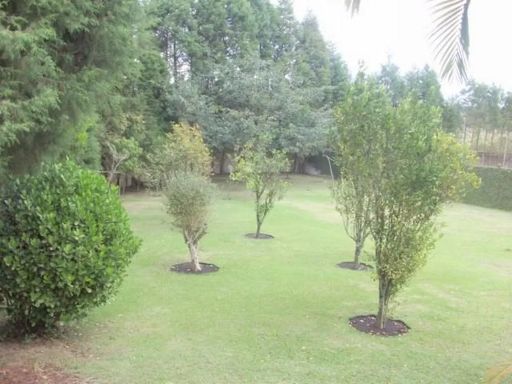 Casa de Condomínio, 5 quartos - Foto 4