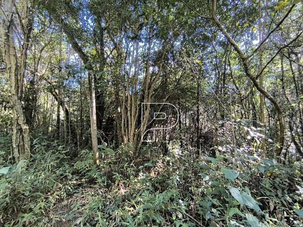 Terreno, 6142 m² - Foto 2