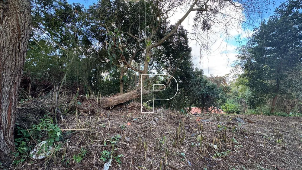 Loteamento e Condomínio, 1500 m² - Foto 3