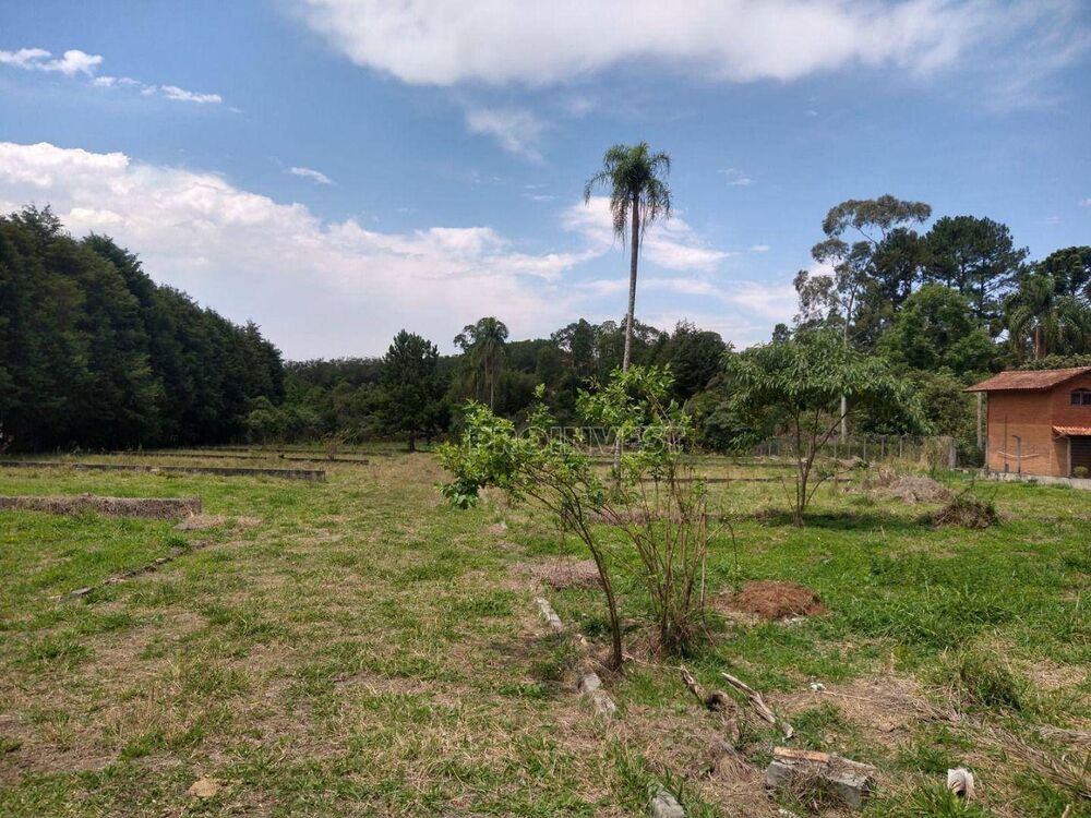 Terreno, 1 hectares - Foto 4