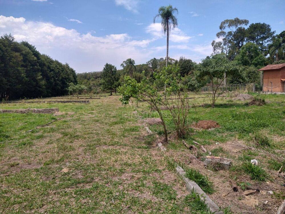 Terreno, 1 hectares - Foto 3