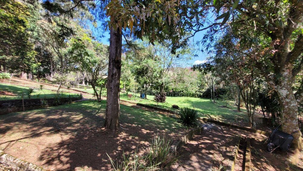 Chácara, 17 quartos, 2 hectares - Foto 4
