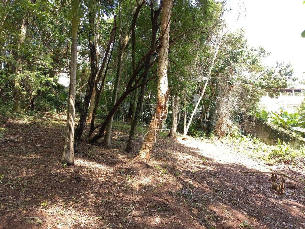Loteamento e Condomínio, 1000 m² - Foto 3