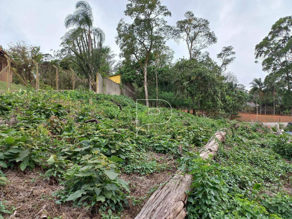 Loteamento e Condomínio, 1260 m² - Foto 3