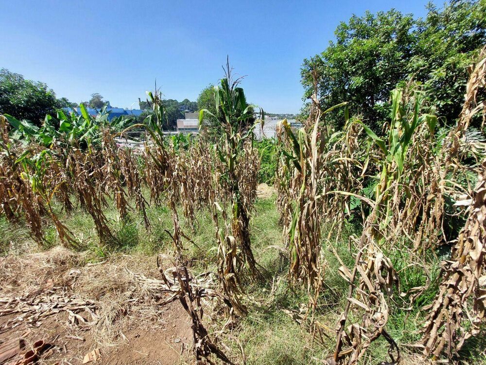 Terreno, 4589 m² - Foto 4