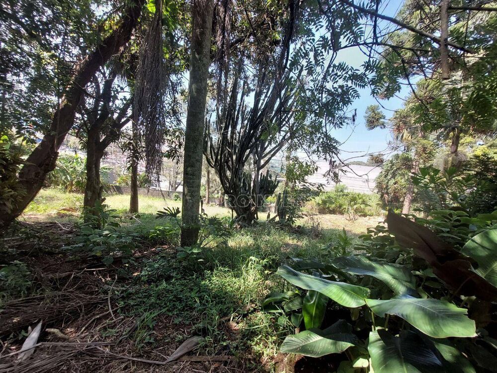 Terreno, 4589 m² - Foto 2