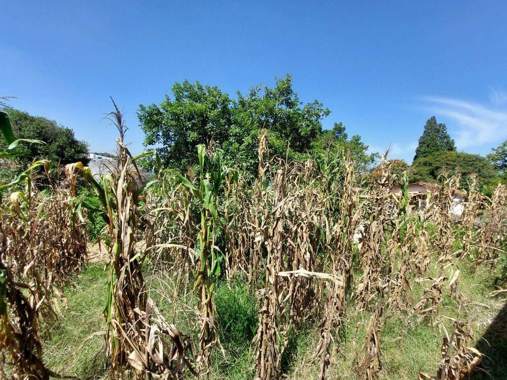 Terreno, 4589 m² - Foto 3