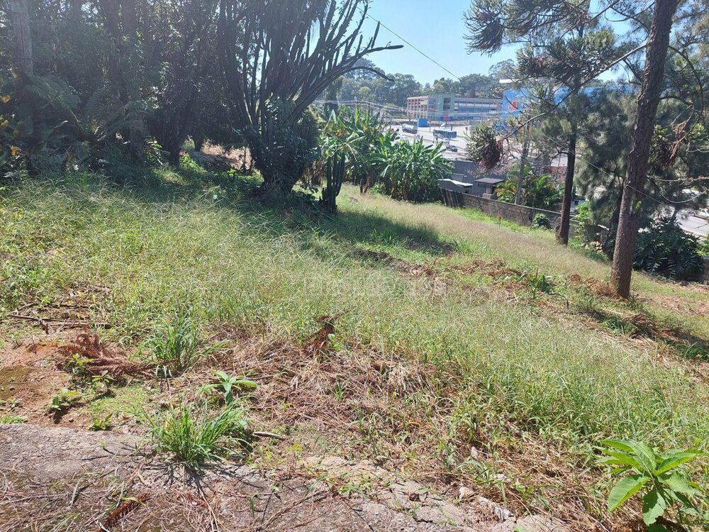 Terreno, 4589 m² - Foto 1