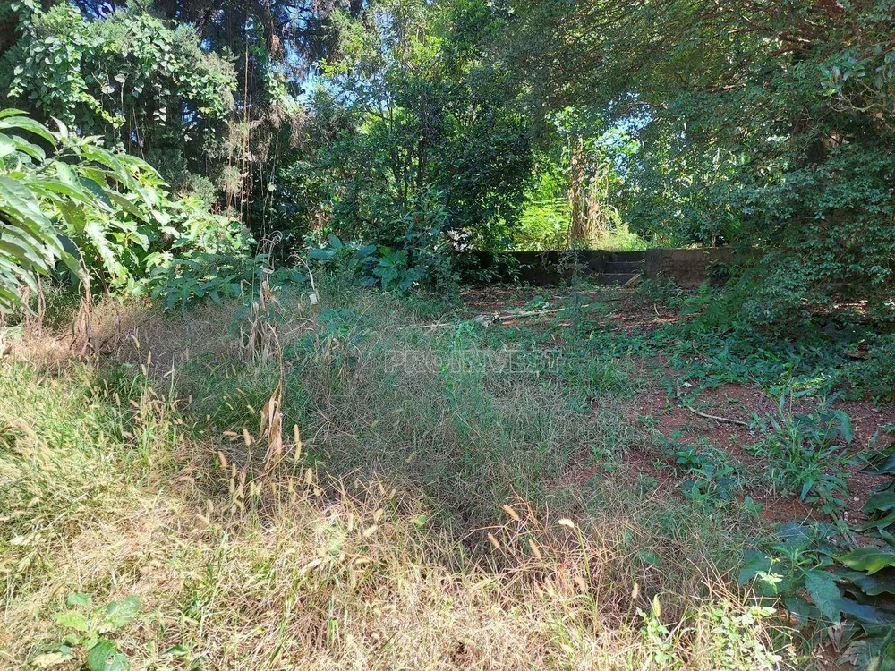 Terreno, 4589 m² - Foto 6