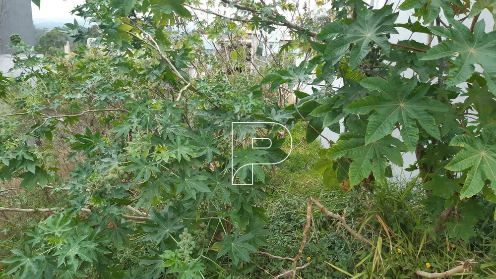 Terreno, 125 m² - Foto 4
