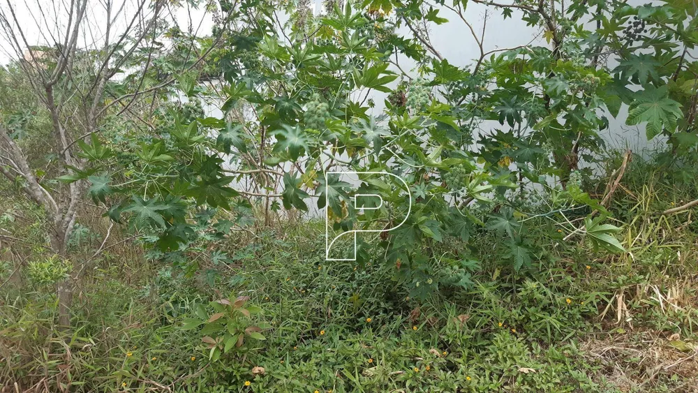 Terreno, 125 m² - Foto 6