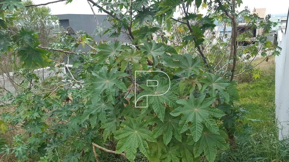 Terreno, 125 m² - Foto 5