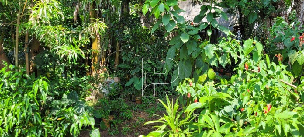 Casa, 4 quartos, 267 m² - Foto 11