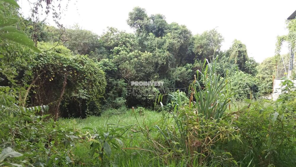 Terreno, 7633 m² - Foto 7