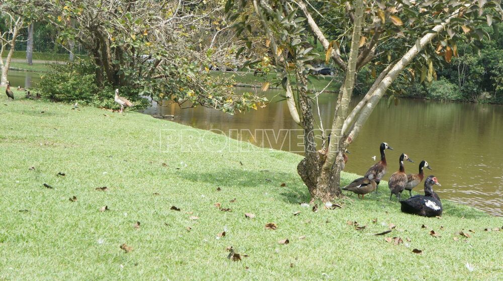 Loteamento e Condomínio, 4400 m² - Foto 3
