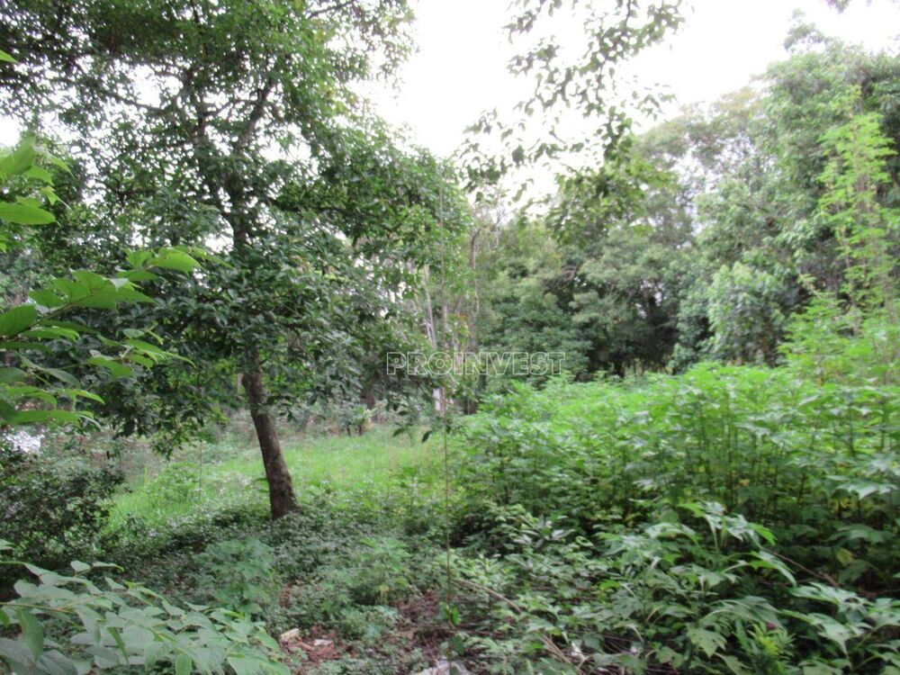 Loteamento e Condomínio, 500 m² - Foto 2