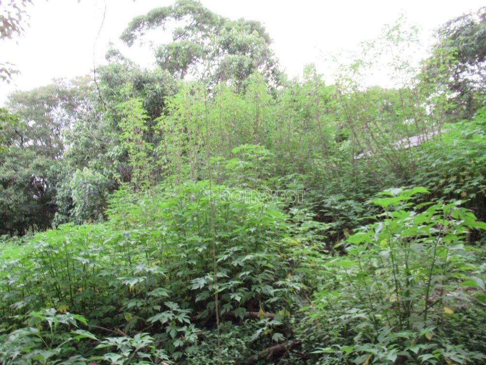 Loteamento e Condomínio, 500 m² - Foto 3