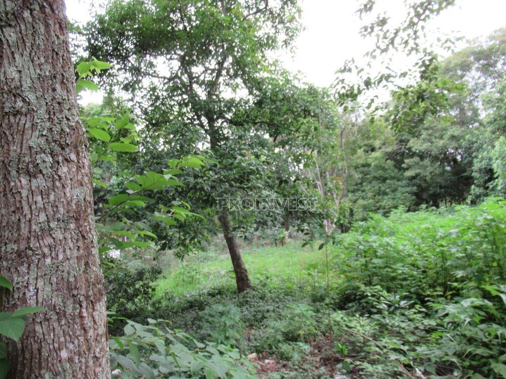 Loteamento e Condomínio, 500 m² - Foto 1