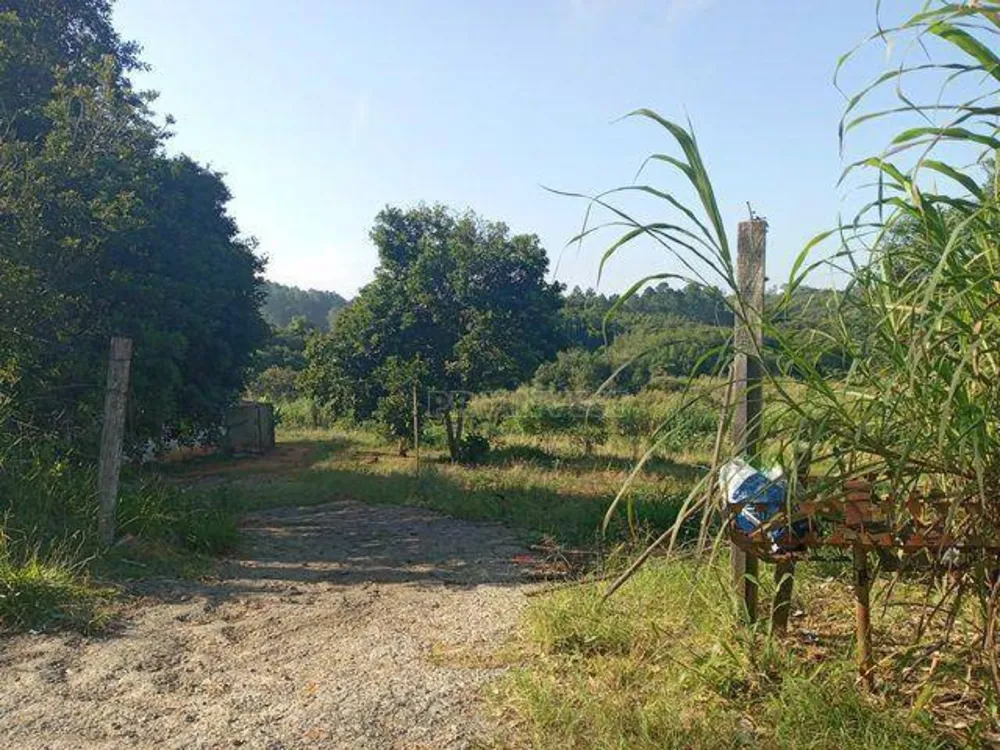 Terreno, 2 hectares - Foto 4