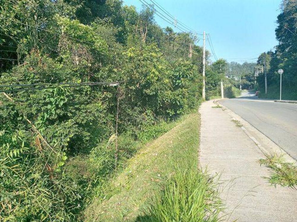 Terreno, 2 hectares - Foto 3