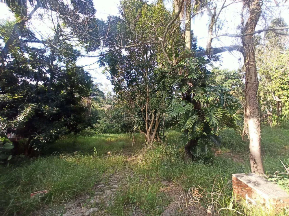 Terreno, 2437 m² - Foto 2