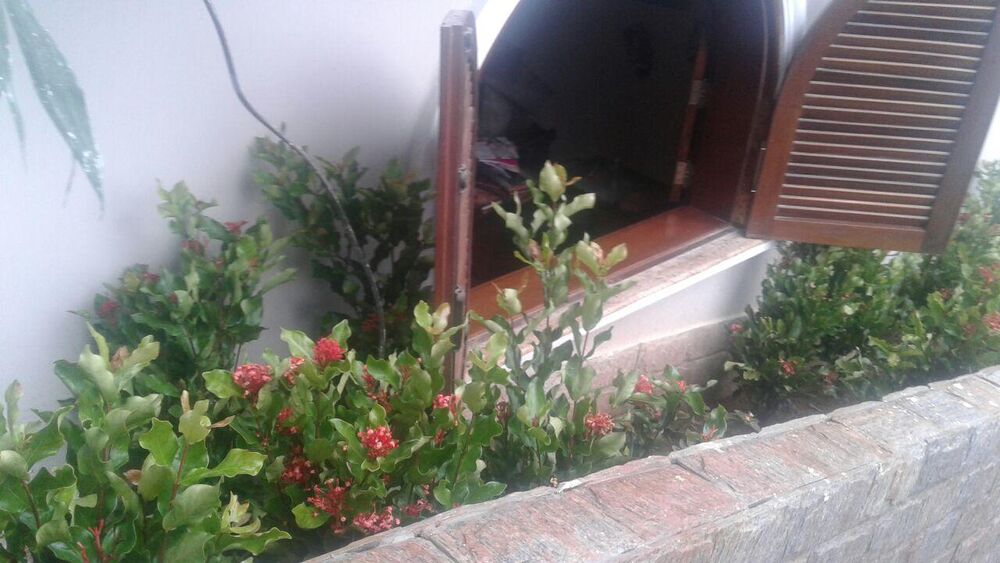 Casa, 4 quartos, 550 m² - Foto 15