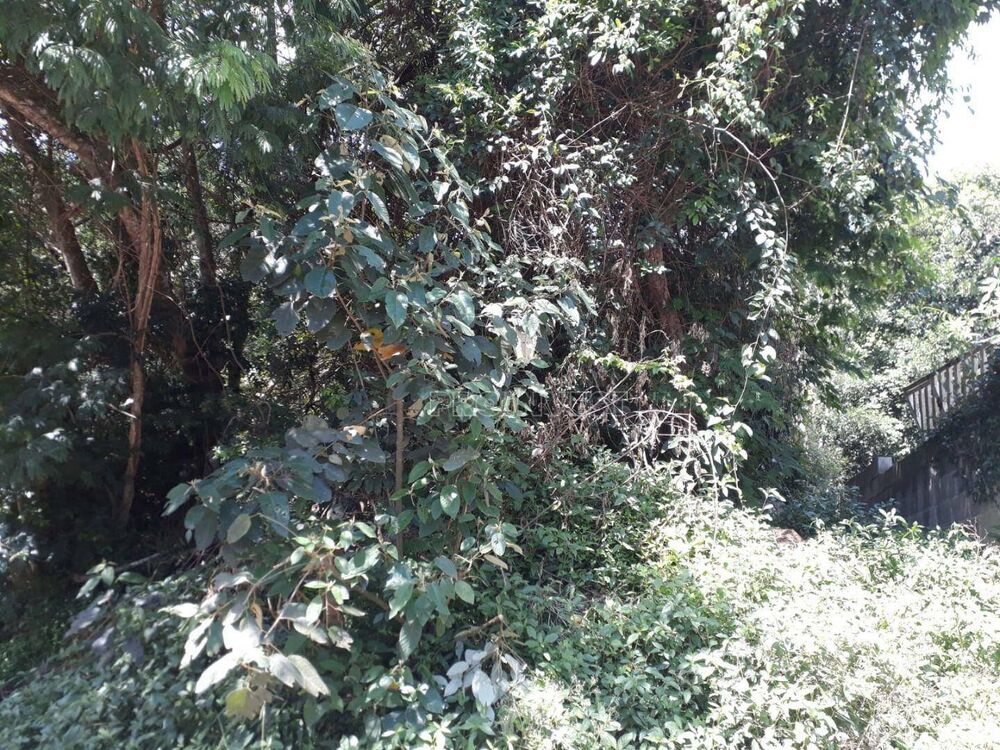 Terreno, 6629 m² - Foto 2