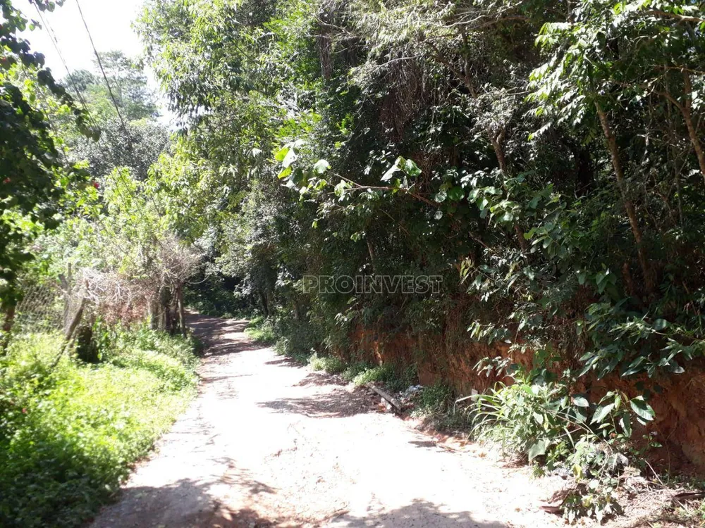 Terreno, 6629 m² - Foto 3